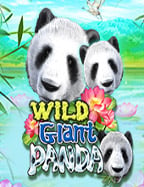 รีวิว Pyramid Bonanza demo เกมสล็อตจาก Joker Gaming